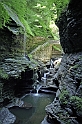 Watkins Glen NY-No 8